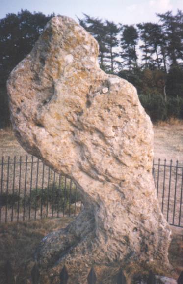 Picture